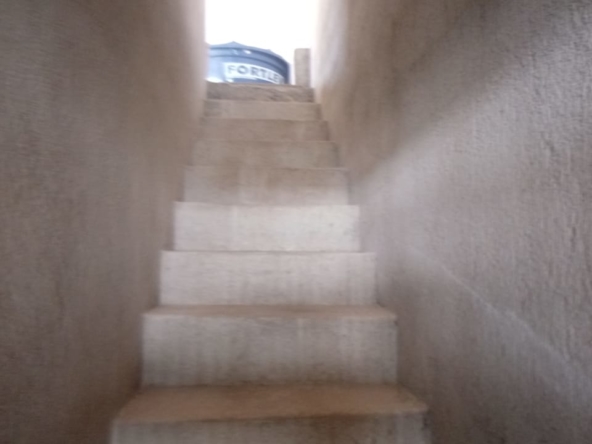WhatsApp Image 2022-05-17 at 17.39.42 (1)